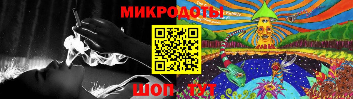 Обь  Галлюциногенные грибы Psilocybine cubensis  Вход с VPN  Псилоцибиновые грибы Psilocybine cubensis 